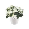 elho brussels Diamond Rund 18cm Übertopf - weiss Produktbild-Vorschau 9
