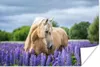 MuchoWow® Poster Pferd - Blumen - Lila 90x60 cm - Produktbild-Vorschau 1