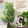 Kratzbaum Natur zum Klettern, Verstecken und Schlafen - Produktbild-Vorschau 2