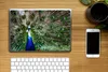 MuchoWow® Laptop Aufkleber Sticker Cover Pfau - Federn - Produktbild-Vorschau 2