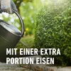 COMPO Buchsbaum- und Ilex Langzeit-Dünger - 2 kg Produktbild-Vorschau 9