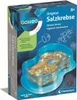 Clementoni 69937, Zestaw eksperymentowy, Biologia, 8 Podgląd zdjęcia produktu 11