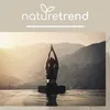 naturetrend Bentonit Pulver 700g, Montmorillonit Pulver Produktbild-Vorschau 7
