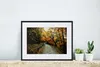 MuchoWow® Gerahmtes Poster Blätter - Herbst - Wald 40x30 cm Produktbild-Vorschau 6