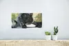 MuchoWow® Poster Französische Bulldogge - Auto - Rot 40x20 Produktbild-Vorschau 5