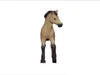 schleich 81456, 5 rok / roky, Plast Náhľad obrázku produktu 4