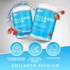 SFD Collagen Premium 400g Schwarze Johannisbeere Kollagen Produktbild-Vorschau 2