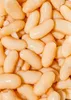 KoRo I Weiße  Cannellini Bohnen in der Dose 12 x 240 g Produktbild-Vorschau 3