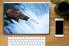 MuchoWow® Laptop Aufkleber Sticker Cover Bär - Fisch - Produktbild-Vorschau 2