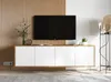 TV-Wandschrank TV-Schrank Fernsehschrank Apollo 2 Viertürig Produktbild-Vorschau 8