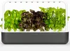 A smart garden with several plants growing in it. Anteprima dell’immagine prodotto