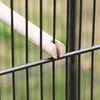 Voliera per uccelli gabbia per uccelli in metallo casa per Anteprima dell’immagine prodotto 5