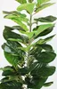Umelá rastlina 115 cm Ficus Lyrata umelá rastlina Náhľad obrázku produktu 3
