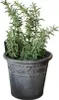 Nostalgischer Zink-Blumentopf mit Ornamenten und Produktbild-Vorschau 2