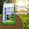 Rasenkalk Dolomitkalk 25 kg mit Calcium zur Produktbild-Vorschau 2