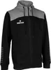 DERBYSTAR Kapuzen-Sweatjacke Ultimo v23, Gr.XL, schwarz Produktbild-Vorschau 1