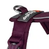 Non-stop dogwear Hundegeschirr Line Harness 5.0 lila Produktbild-Vorschau 4