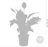 Bloomique - Spathiphyllum Torelli - Friedenslilie - Produktbild-Vorschau 5