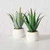 Plante d'aloès artificielle en pot MONDRAGO, 29 cm Voir les images du produit 5