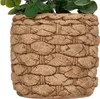Künstlicher eukalyptus im topf "jaye" h27cm  - Atmosphera Produktbild-Vorschau 3