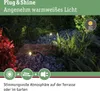 Paulmann Plug & Shine LED Gartenstrahler Plantini Produktbild-Vorschau 6