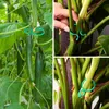 500 Pflanzenstützclips, Gartenblumen- und Weinrankenclips, Produktbild-Vorschau 5