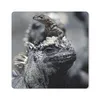 MuchoWow® Mauspad Mousepad Leguane - Tiere - Familie 30x30 Produktbild-Vorschau 1