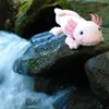 Peluche Axolotl 33 Cm Ecologique Voir les images du produit 3