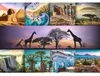 TREFL Puzzle Pie, Afrika 1000 Teile Produktbild-Vorschau 2