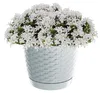 Prosperplast 7.5l Ratolla  Collection 25x25x21.9 Cm Produktbild-Vorschau 7