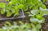 Micro-Drip-System L-Stück 4,6mm (3/16") (dunkelgrau, 10 Produktbild-Vorschau 2