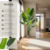 Arbre oiseau du paradis TROPIC - 180 cm Voir les images du produit 2