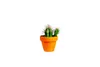 Gardners Euphorbia Enopla, priemer 6 cm Náhľad obrázku produktu 1