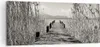 Bild auf Leinwand - Leinwandbild - Einteilig - Brücke Pier Produktbild-Vorschau 1