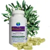 MISTEL Mistelkraut Mistletoe 720 (4x180) Pulver Kapseln Produktbild-Vorschau 9