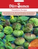 Tomatillo Purple | Tomatillosamen von Dürr Samen Produktbild-Vorschau 4