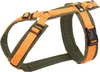 anny-x Hundegeschirr Fun oliv / orange Größe M Produktbild-Vorschau 1