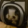 Purlov Hunde-/Katzentrage - schwarz Produktbild-Vorschau 16