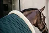 Kentucky Horsewear Turnierdecke 160g Show Rug Dark Green Produktbild-Vorschau 7