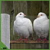 Two white doves are behind a wire mesh fence, with a roll of wire mesh in the foreground. Podgląd zdjęcia produktu