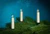 Three electric candles on a pine branch against a blue background with snowflakes. Produktbild-Vorschau