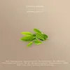 Avoury Black Tea | STRONG ASSAM | 8 Tee-Kapseln: Schwarzer Produktbild-Vorschau 7