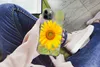 MuchoWow® Handyhülle Schutzhülle Hülle für iPhone 12 Pro Produktbild-Vorschau 3