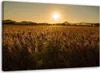 Leinwandbild maisfeld 90x60 cm Feeby braun wandbild bereit Produktbild-Vorschau 1