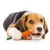 A beagle puppy lying down and chewing on a rope toy shaped like a carrot. Náhled obrázku produktu
