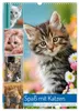 Spaß mit Katzen (Wandkalender 2027 DIN A3 hoch), CALVENDO Produktbild-Vorschau 1