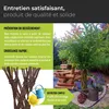 Wicker garden Arbre osier 100 cm - Résistant à l'hiver & Voir les images du produit 6
