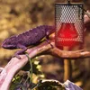 Reptilien Wärmelampe Mit Schutzkorb, 2 Pcs E27 Wärmelampe Produktbild-Vorschau 6
