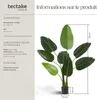 Arbre oiseau du paradis TROPIC - 120 cm Voir les images du produit 6