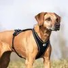 CURLI Pettorina per cani Belka Comfort Brown XS, 15-20 kg Anteprima dell’immagine prodotto 4